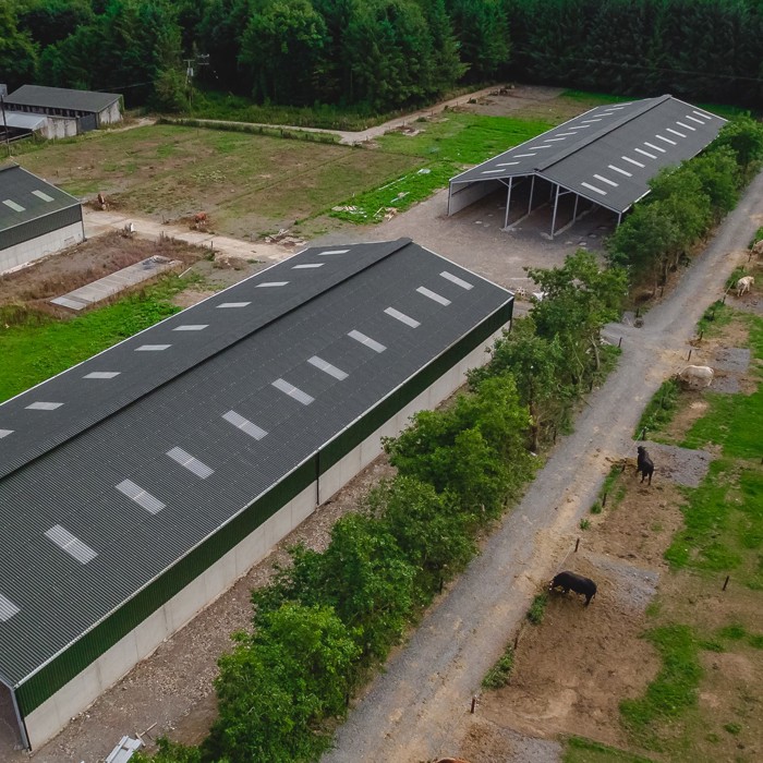 How agricultural roofing can maximise animal welfare  